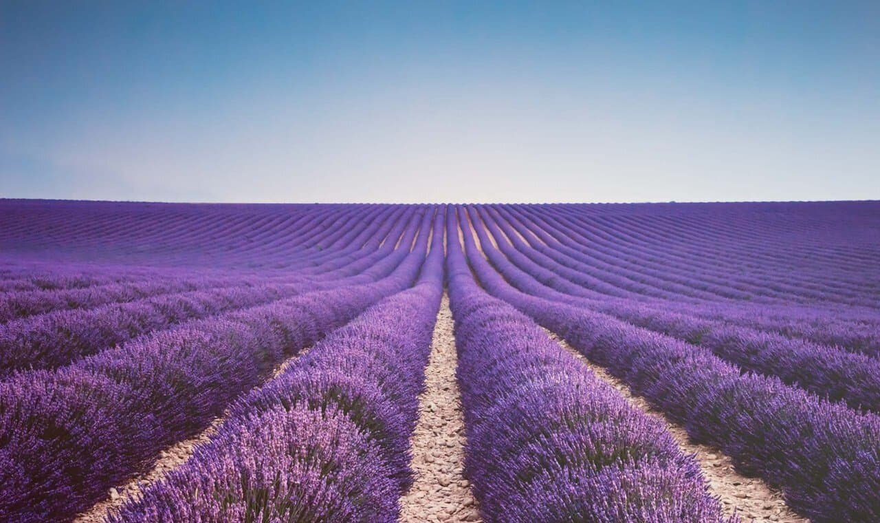 Provence