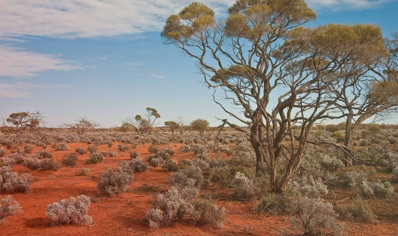 Australie-Méridionale