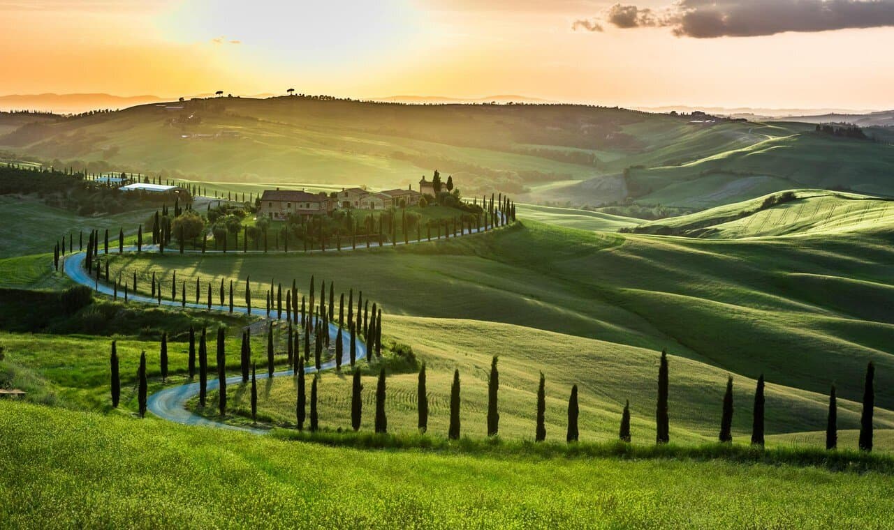 Vignobles de Tuscany
