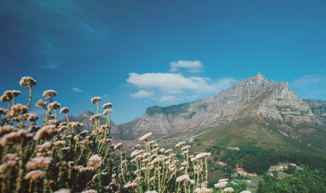 Vignobles de Western Cape