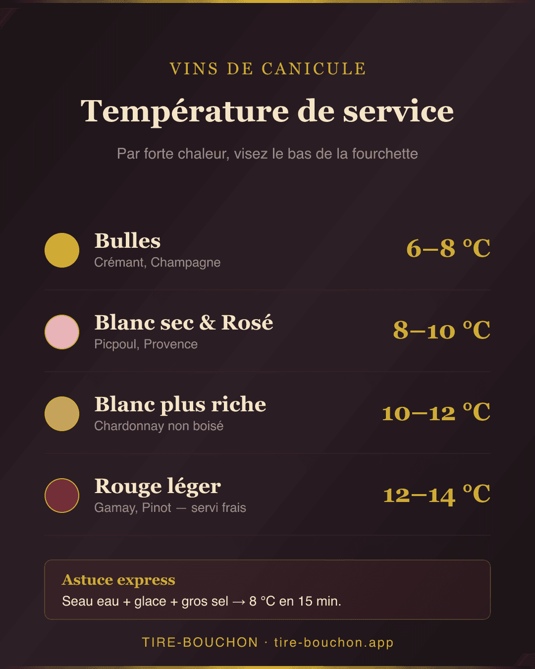 Infographie récapitulative : Quel Vin Boire Pendant la Canicule ? Le Guide des Vins de Forte Chaleur