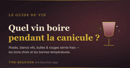 Illustration de l'article : Quel Vin Boire Pendant la Canicule ? Le Guide des Vins de Forte Chaleur