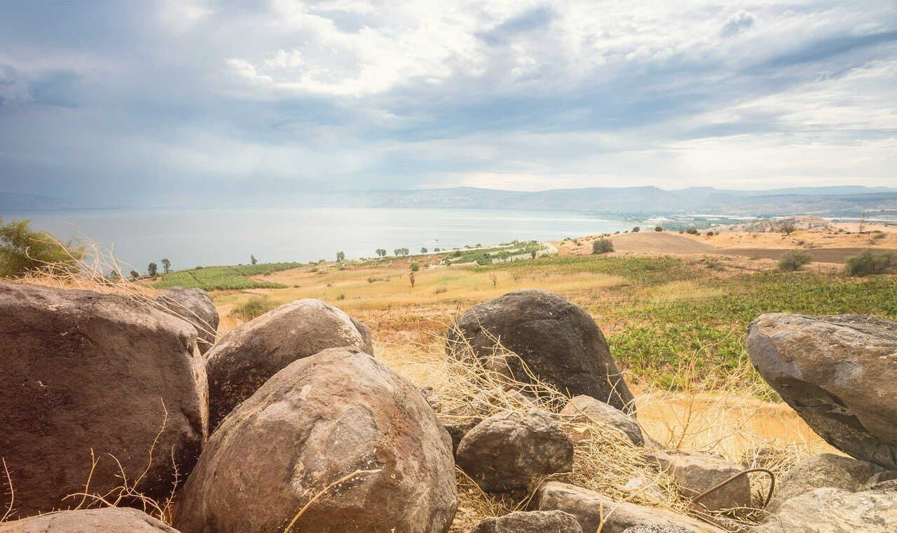 Vignobles de Galilee