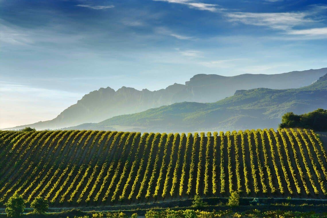 Vignobles de La Rioja